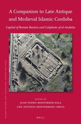 bokomslag Companion to Late Antique and Medieval Islamic Cordoba