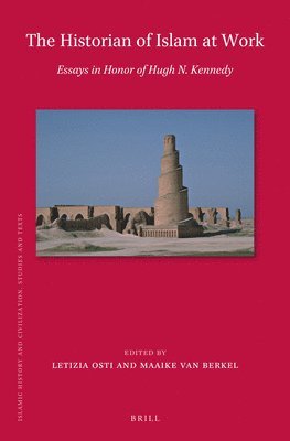 Historian of Islam at Work