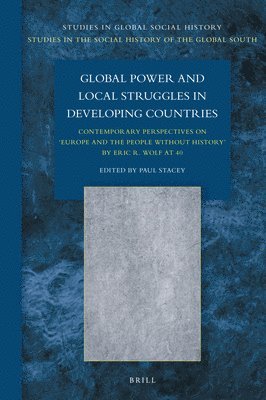 bokomslag Global Power and Local Struggles in Developing Countries