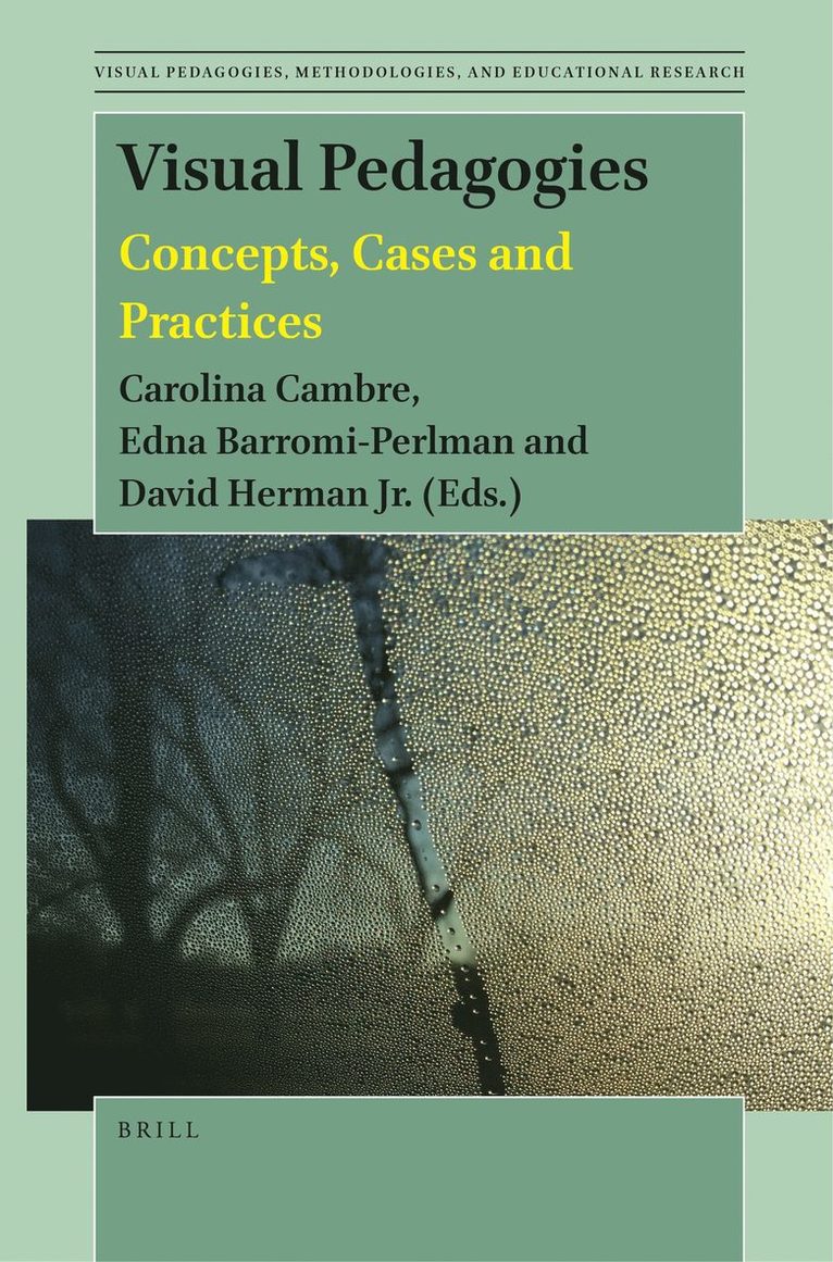 Visual Pedagogies