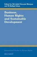 bokomslag Business, Human Rights and Sustainable Development