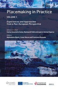 bokomslag Placemaking in Practice Volume 1
