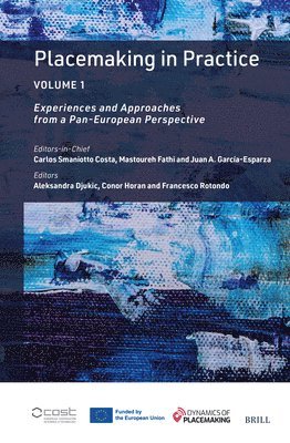 bokomslag Placemaking in Practice Volume 1