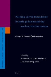 bokomslag Pushing Sacred Boundaries in Early Judaism and the Ancient Mediterranean: Essays in Honor of Jodi Magness