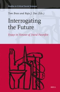 bokomslag Interrogating the Future: Essays in Honour of David Fasenfest