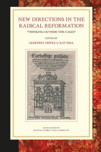 bokomslag New Directions in the Radical Reformation