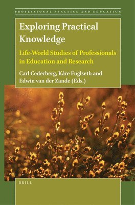 bokomslag Exploring Practical Knowledge