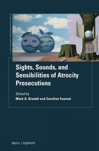 bokomslag Sights, Sounds and Sensibilities of Atrocity Prosecutions