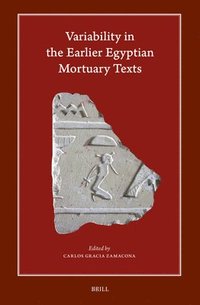 bokomslag Variability in the Earlier Egyptian Mortuary Texts