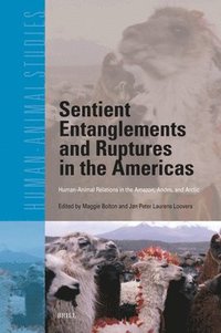 bokomslag Sentient Entanglements and Ruptures in the Americas: Human-Animal Relations in the Amazon, Andes, and Arctic
