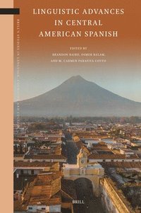 bokomslag Linguistic Advances in Central American Spanish