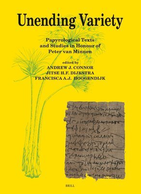 bokomslag Unending Variety: Papyrological Texts and Studies in Honour of Peter Van Minnen