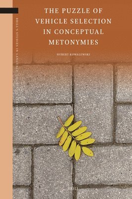 Puzzle of Vehicle Selection in Conceptual Metonymies