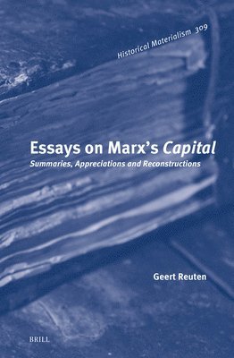 bokomslag Essays on Marx's Capital