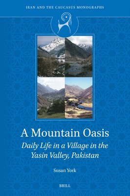 bokomslag Mountain Oasis