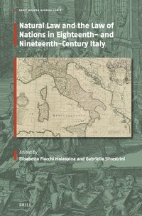 bokomslag Natural Law and the Law of Nations in Eighteenth- and Nineteenth-Century Italy