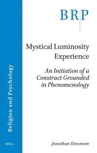 bokomslag Mystical Luminosity Experience