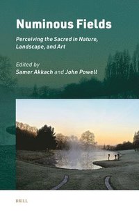 bokomslag Numinous Fields: Perceiving the Sacred in Nature, Landscape, and Art