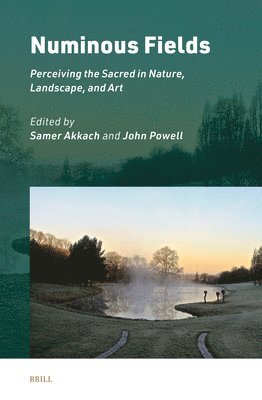 bokomslag Numinous Fields: Perceiving the Sacred in Nature, Landscape, and Art