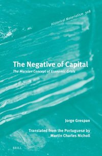 bokomslag The Negative of Capital