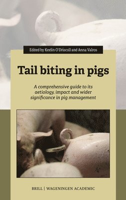 bokomslag Tail Biting in Pigs: A Comprehensive Guide to Its Aetiology, Impact and Wider Significance in Pig Management