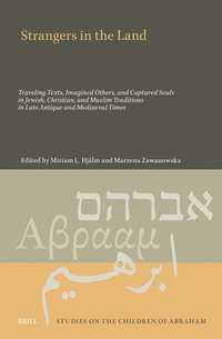 bokomslag Strangers in the Land: Traveling Texts, Imagined Others, and Captured Souls in Jewish, Christian, and Muslim Traditions in Late Antique and Mediaeval Times