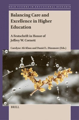 bokomslag Balancing Care and Excellence in Higher Education