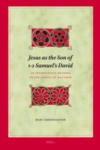 bokomslag Jesus as the Son of 1-2 Samuel's David