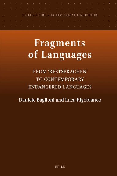 Fragments of Languages, Inbunden