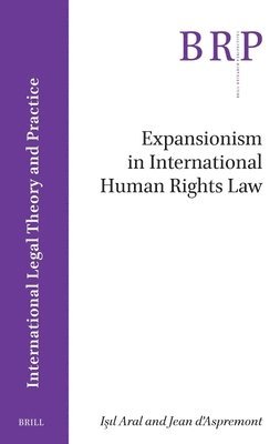 bokomslag Expansionism in International Human Rights Law