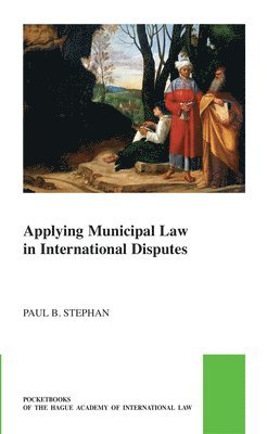 bokomslag Applying Municipal Law in International Disputes