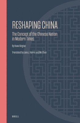bokomslag Reshaping China