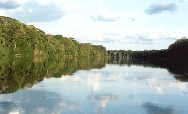 bokomslag The Congo's Salonga National Park