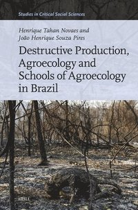 bokomslag Destructive Production, Agroecology and Schools of Agroecology in Brazil