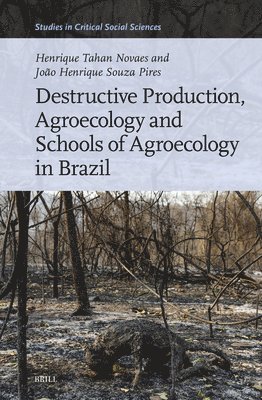 bokomslag Destructive Production, Agroecology and Schools of Agroecology in Brazil