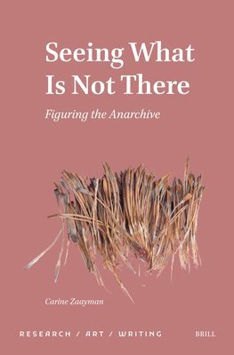 Seeing What Is Not There: Figuring the Anarchive
