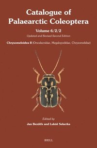 bokomslag Chrysomeloidea II (Orsodacnidae, Megalopodidae, Chrysomelidae) - Part 2