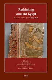bokomslag Rethinking Ancient Egypt