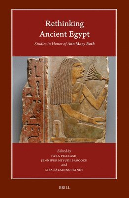 bokomslag Rethinking Ancient Egypt