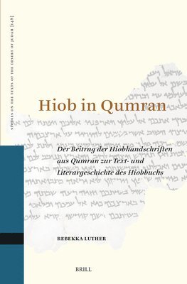 bokomslag Hiob in Qumran: Der Beitrag Der Hiobhandschriften Aus Qumran Zur Text- Und Literargeschichte Des Hiobbuchs