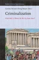 bokomslag Criminalization Vol. II: Where Do We Go from Here?