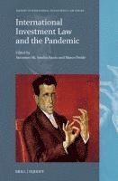 bokomslag International Investment Law and the Pandemic