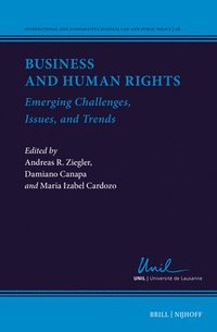 bokomslag Business and Human Rights: Emerging Challenges, Issues, and Trends