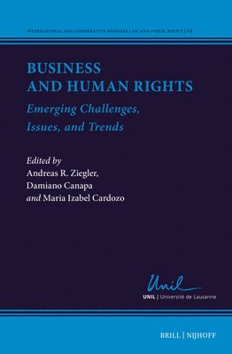 bokomslag Business and Human Rights