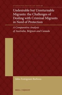 bokomslag Undesirable But Unreturnable Migrants: The Challenges of Dealing with Criminal Migrants in Need of Protection