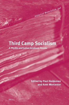 bokomslag Third Camp Socialism