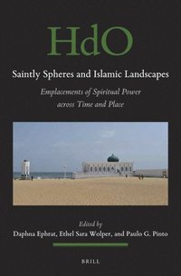 bokomslag Saintly Spheres and Islamic Landscapes: Emplacements of Spiritual Power Across Time and Place