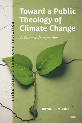 Toward a Public Theology of Climate Change