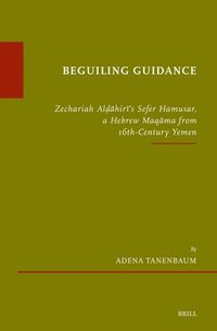 bokomslag Beguiling Guidance