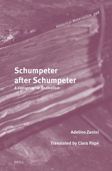 Adelino Zanini - Schumpeter after Schumpeter, Inbunden